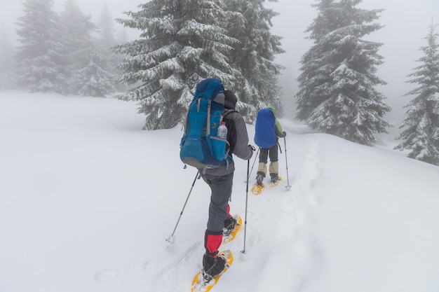 Randonneurs dans les montagnes d'hiver