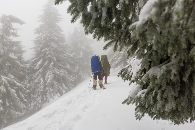 Randonneurs dans les montagnes d'hiver