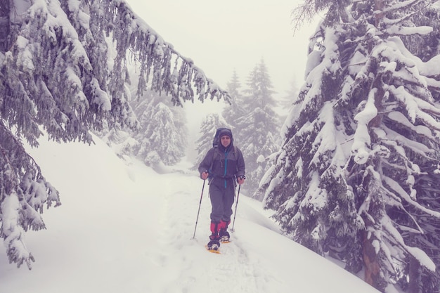 Randonneurs dans les montagnes d'hiver