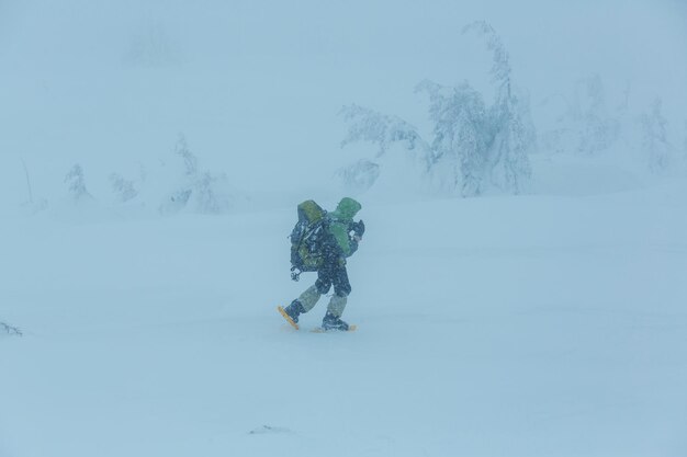 Randonneurs dans les montagnes d'hiver