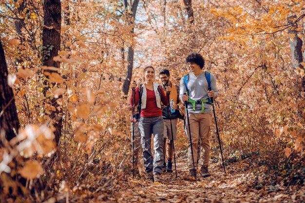 Randonneurs explorant la forêt.