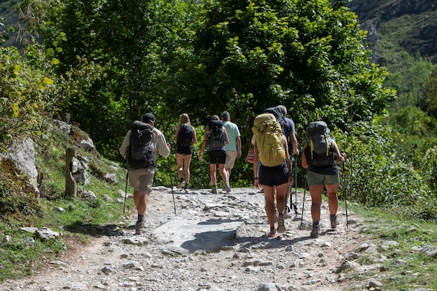 Randonneurs faisant du sport à la montagne