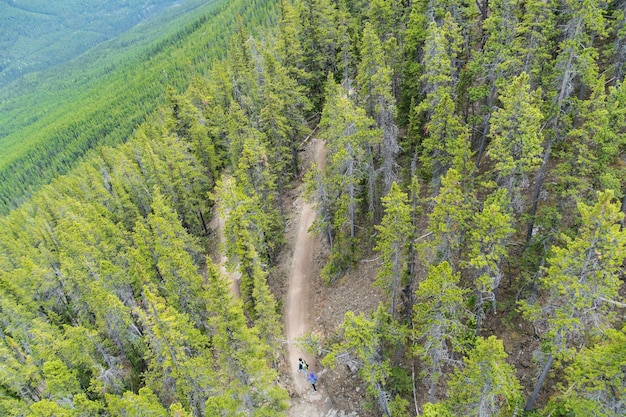 Randonneurs sur le sentier à flanc de montagne tiré d'en haut