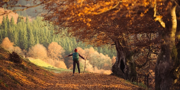 Randonneuse marchant sous les rayons du soleil du matin dans la forêt de montagne femme backpacker