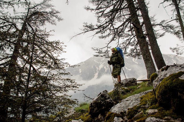 Randonneuse se dresse sur des rochers en forêt