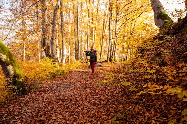 La randonneuse voyage dans les bois regarde autour