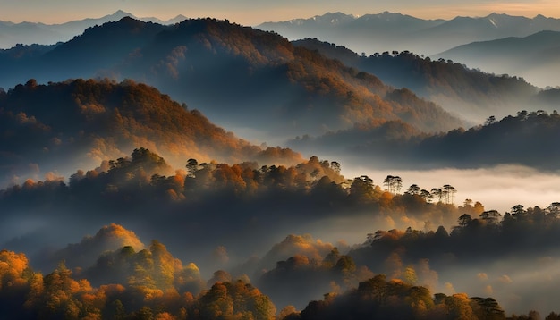 Range pendant un matin d'automne une belle nature