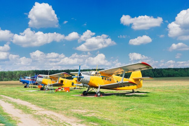 Rangée d'avions d'époque dans le champ d'été sous le ciel bleu