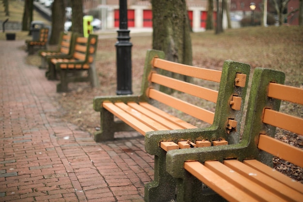 Une rangée de bancs avec un qui dit " le mot " dessus "