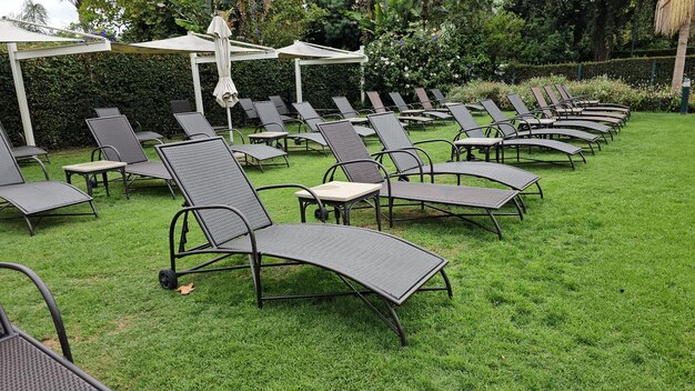 Une rangée de chaises de pelouse sur un champ vert et luxuriant