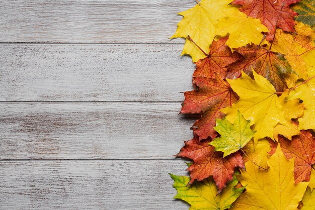 Une rangée de feuilles d'automne sur un fond en bois