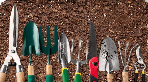 Rangée d'outils de jardinage sur fond de sol