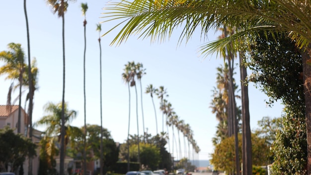 Rangée de palmiers ville près de los angeles californie côte palmiers par plage