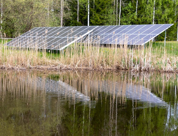 Une rangée de panneaux solaires sont dans l'eau près d'un étang.