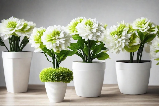 une rangée de pots blancs avec des fleurs en eux