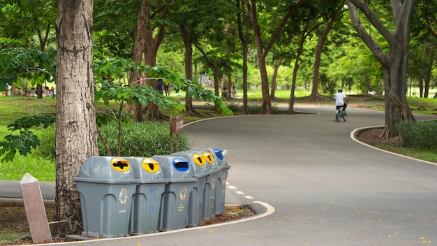 Rangée de poubelles de recyclage sous l'arbre le long de la rue courbe dans le parc public