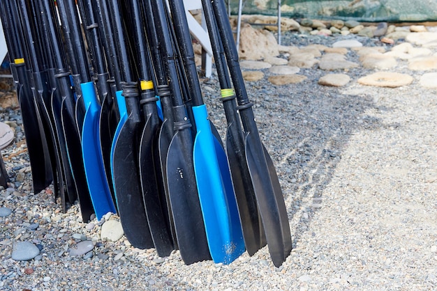 Une rangée de rames sur la plage.