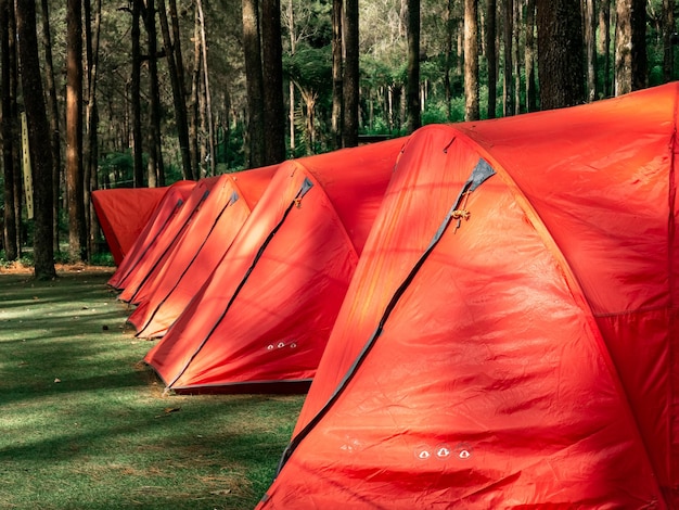 une rangée de tentes orange vif installées dans un parc forestier