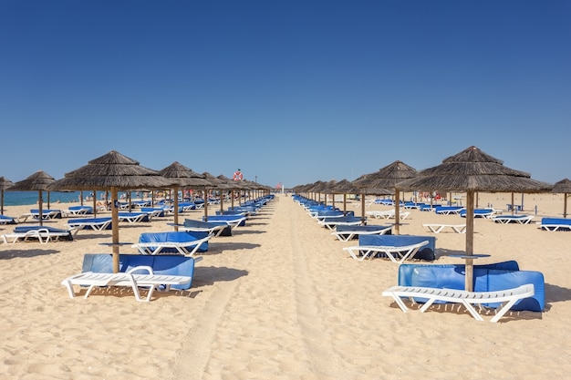 Des rangées de chaises longues et de parasols pour bronzer aux touristes. Tavira, Portugal, Algarve.