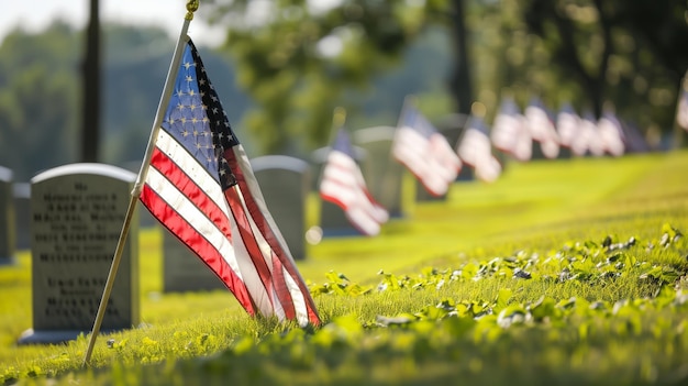 Des rangées de drapeaux américains placés dans