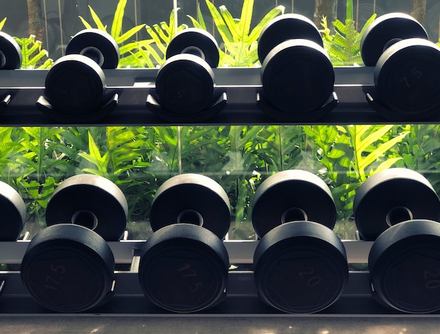 Photo des rangées d'haltères dans le gymnase. les haltères sur le support sportif du club en copropriété ont des arbres en arrière-plan