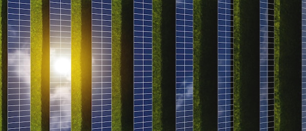 Rangées de panneaux solaires au coucher du soleil dans un champ sur fond d'herbe verte Centrale électrique au sol d'électricité alternative