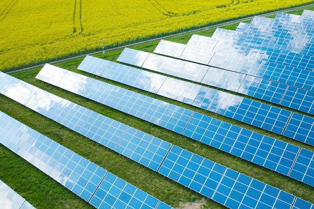 Rangées de panneaux solaires construits sur champ vert