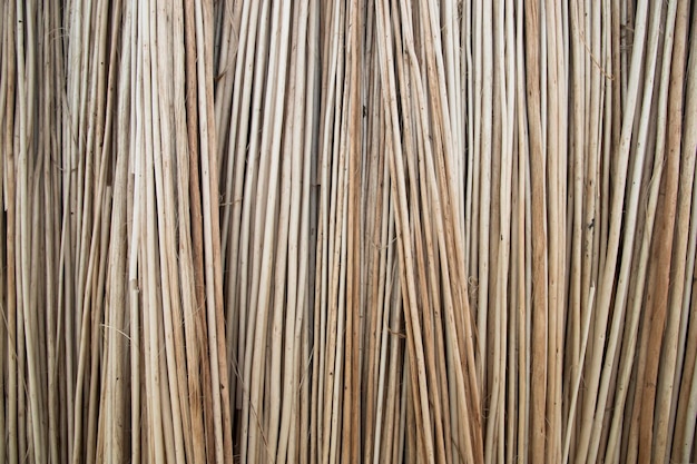 Des rangées et des rangées de bâtons de jute brun Texture background d'un champ