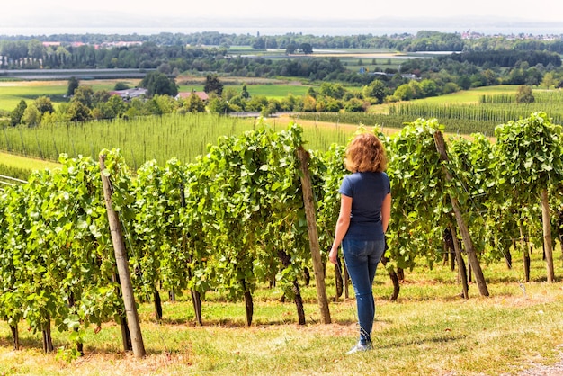 Photo rangées de vignes surplombant les champs de vigne jeune femme regarde la plantation de vigne verte
