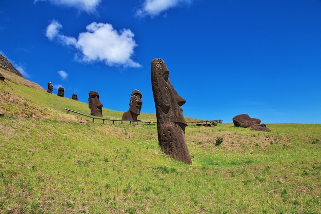 Photo rapa nui. la statue moai à rano raraku sur l'île de pâques, chili