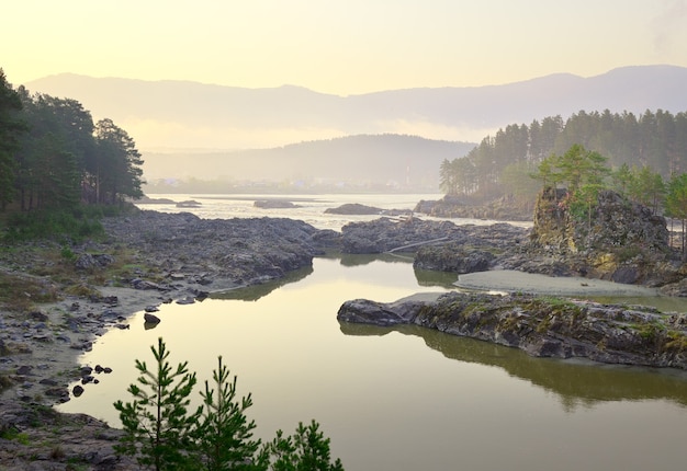 Rapides Manzherok dans les montagnes de l'Altaï Pins sur les rives rocheuses de la rivière Katun