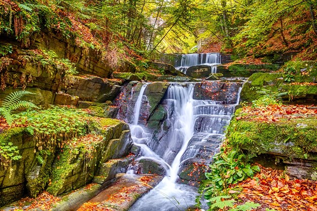 Rapides naturels d'une cascade dans une forêt d'automne