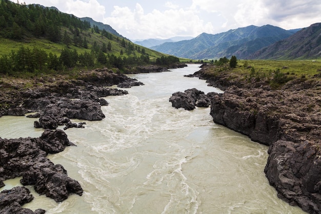 Rapides sur la rivière Katun en été montagnes de l'Altaï Russie