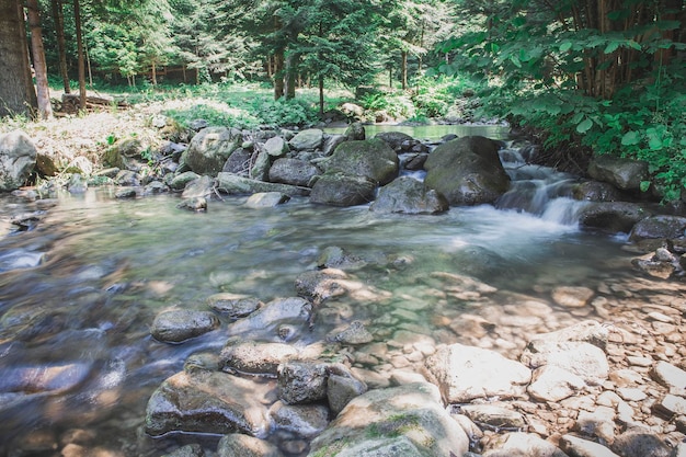 Rapides sur une rivière de montagne dans les Carpates Ukraine