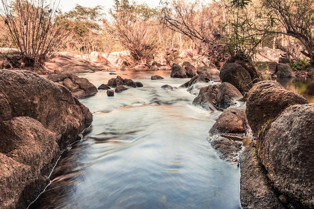 Rapides de la rivière Rock dans le parc national