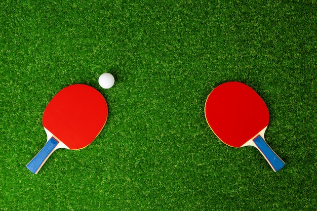 Raquettes de ping-pong et balle sur l'herbe