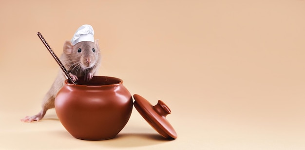 Photo un rat mignon dans une toque de chef cuisine des aliments dans une casserole