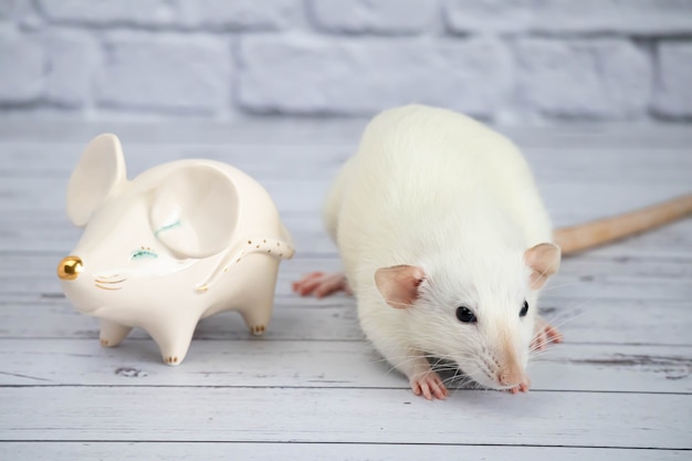 Un rat mignon décoratif drôle blanc se tient à côté d'une figurine en porcelaine en forme de rat avec un nez doré.