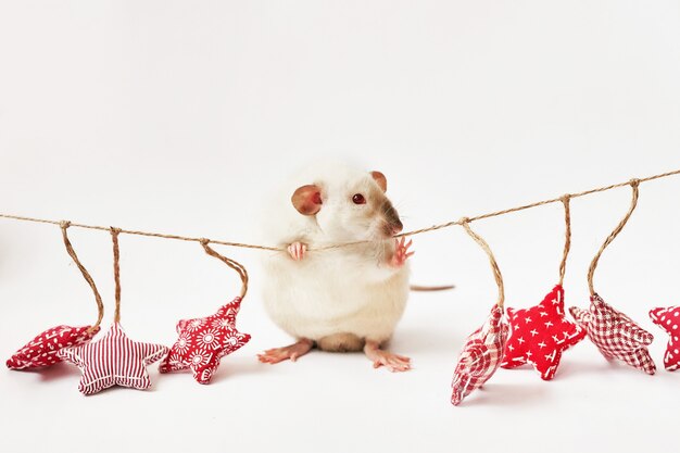 Rat de Noël Symbole de la nouvelle année 2020. Année du rat. Nouvel an chinois 2020. Jouets de Noël, bokeh. Rat sur fond de décorations de Noël. Modèle de carte de voeux de Noël nouvel an