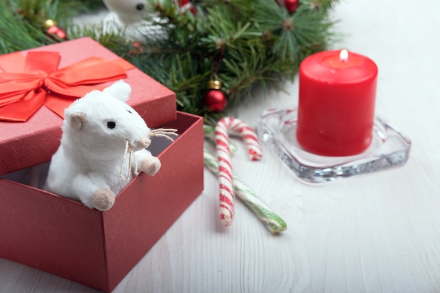 rat regarde hors de la boîte rouge pour la nouvelle année