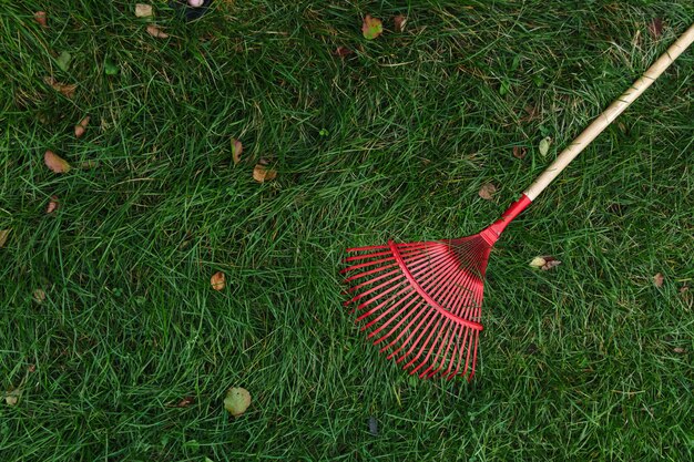 Le râteau rouge pour la récolte des feuilles repose sur l'herbe verte. Vue d'en-haut. automne, nettoyage, résidence d'été. fond