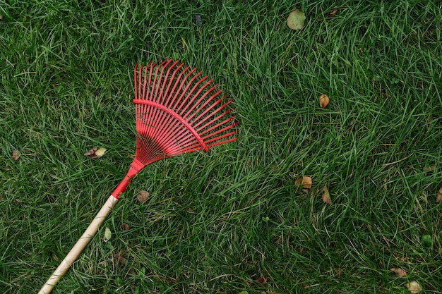 Le râteau rouge pour la récolte des feuilles repose sur l'herbe verte. Vue d'en-haut. automne, nettoyage, résidence d'été. fond