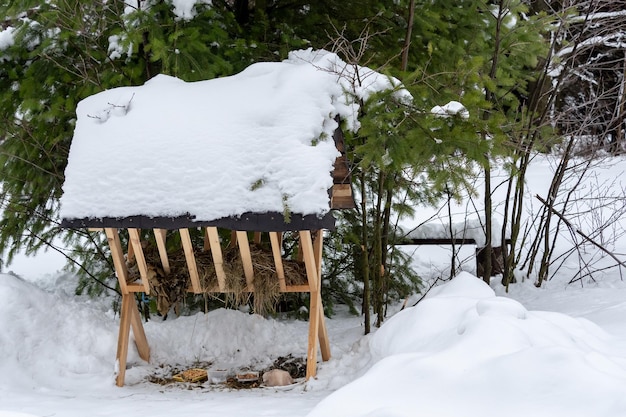 Râtelier à foin et sel pour cerfs en forêt