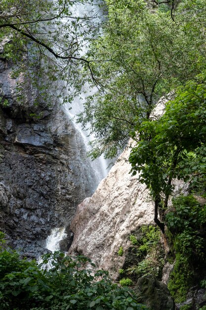 Ravin huentitan à guadalajara plein d'eau de végétation tombant plusieurs cascades au mexique