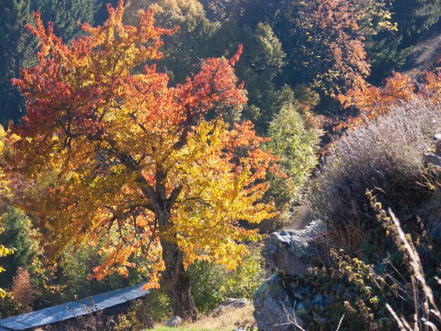 La ravoire valais SUISSE