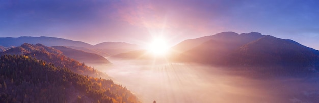 Les rayons du soleil dans la forêt brumeuse d'automne.