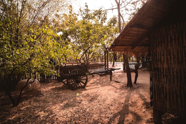 Les rayons du soleil traversent le pays de la hutte de vie simple, rustique et basique dans un village du nord de la Thaïlande en Asie un chariot en bois traditionnel de style thaïlandais devant la maison