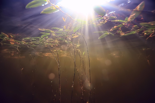 rayons de lumière sous-marine lac frais, abstrait nature paysage soleil eau