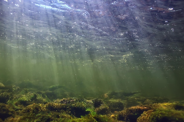 rayons de soleil sous le paysage aquatique, paysage marin plongée en rivière d'eau douce