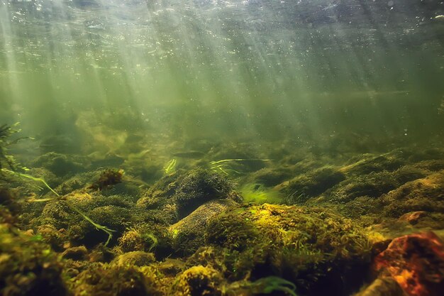 rayons de soleil sous le paysage aquatique, paysage marin plongée en rivière d'eau douce